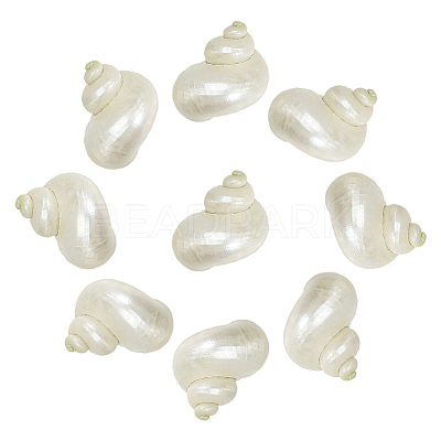 10Pcs Mini Natural Spiral Shell Beads FIND-WR0012-36-1