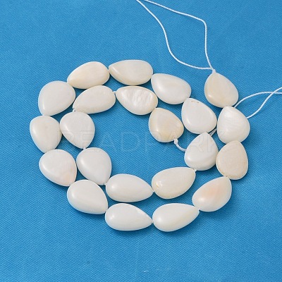 Natural White Shell Beads Strands PBB263Y-1-1