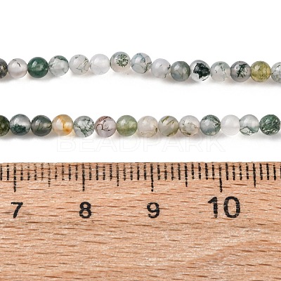 Natural Moss Agate Beads Strands G-Z116-A05-3mm-1