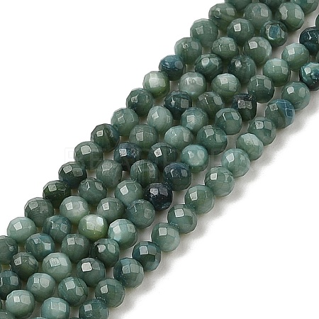 Natural Freshwater Shell Dyed Beads Strands SHEL-R100-12A-05-1
