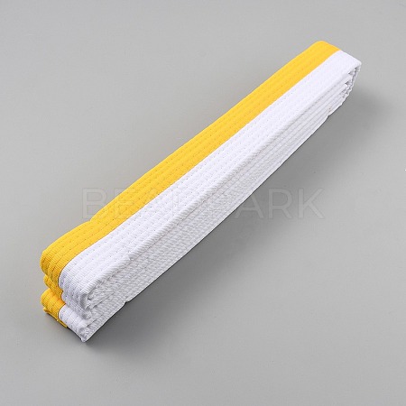 Taekwondo Belt AJEW-WH20022-73E-04-1