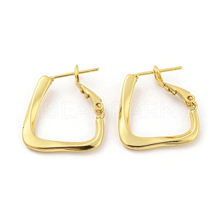 Rack Plating Brass Hoop Earrings for Women EJEW-K263-24G-1