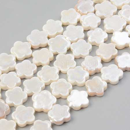 Electroplate Natural Freshwater Shell Beads Strands SHEL-T017-08-1