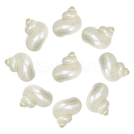 10Pcs Mini Natural Spiral Shell Beads FIND-WR0012-36-1