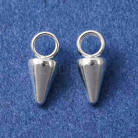 304 Stainless Steel Pendants STAS-G214-47S-04-1