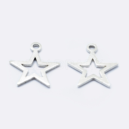 925 Sterling Silver Charms STER-I014-17S-1