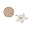 Glass Seed Beaded Star Pendants PALLOY-MZ00524-02-2