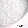 Opaque 8/0 Glass Seed Beads SEED-I013-3mm-RR41-1