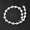 Natural Freshwater Shell Beads Strands X-BSHE-E026-18-3