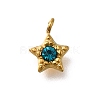 304 Stainless Steel Charms STAS-R159-58G-03-1