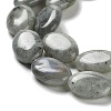 Natural Labradorite Beads Strands X-G-L164-A-34-4