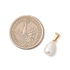 Natural Cultured Freshwater Pearl Rice Charms PALLOY-JF04823-3