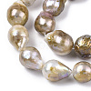 Natural Baroque Pearl Keshi Pearl Beads Strands PEAR-S019-02B-3