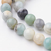 Natural Flower Amazonite Bead Strands G-G735-61-8mm-3