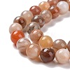 Natural Botswana Agate Beads Strands G-G925-01A-4