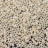 MIYUKI Delica Beads SEED-X0054-DB1560-2
