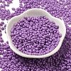 Baking Paint Glass Seed Beads SEED-K009-01B-11-2