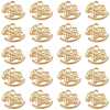 Alloy Pendants FIND-FZC0006-003LG-1