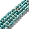 Natural Magnesite Beads Strands G-L555-02C-02-3