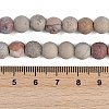 Natural Aqua Terra Jasper Beads Strands G-N0128-48F-8mm-6