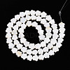 Natural Freshwater Shell Beads Strands SHEL-N027-02-01-3