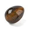 Natural Tiger Eye Egg Shape Display Decorations G-Z094-01I-2