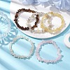 12 Constellation Natural Mixed Gemstone Chip Beaded Stretch Bracelets Sets for Women Men BJEW-JB10264-07-5