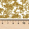 MIYUKI Delica Beads LS-X-SEED-J020-DB0665-3