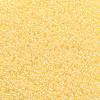 TOHO Round Seed Beads SEED-JPTR11-0902-2