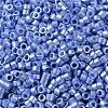 Baking Paint Glass Seed Beads SEED-S042-15A-12-3