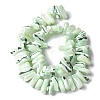 Dyed Natural Trochus Shell Beads Strands SSHEL-C013-09I-2