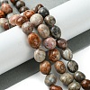 Natural Fossil Coral Beads Strands G-G117-A01-02-2