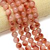 Natural Malaysia Jade Beads Strands G-B165-C01-14mm-1