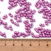 Baking Paint Glass Seed Beads SEED-L011-12A-12-4