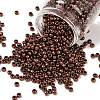 TOHO 6/0 Round Beads X-SEED-TR06-0222-1