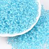 6/0 Inside Colours Transparent Glass Seed Beads X1-SEED-T007-07E-3