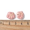 Natural Rainbow Alashan Agate Charms G-G194-01C-3