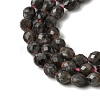 Natural Syenite Beads Strands G-K376-F09-01-4