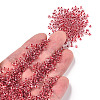 8/0 Transparent Glass Seed Beads SEED-F003-03B-03-5