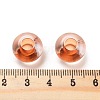 Transparent Acrylic European Beads TACR-P009-C01-03-3