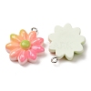 Gradient Color Opaque Resin Pendants RE-CBA5B90-05-2