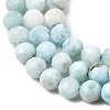 Natural Larimar Beads Strands G-F785-B01-02-4