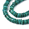 Natural Freshwater Shell Beads Strands BSHE-I016A-01D-2