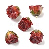 Brass Epoxy Resin Pendants FIND-D043-01G-02-1