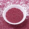 MIYUKI Delica Beads SEED-JP0008-DB1841-2