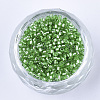 Glass Cylinder Beads SEED-Q036-01A-A04-2