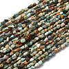 Natural Variscite Beads Strands G-I389-A32-2