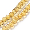 Natural Amber Beads Strands G-K308-C02-5mm-3