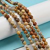 Natural Crazy Lace Agate Round Bead Strands G-M272-03-4mm-4