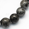 Natural Larvikite Round Beads Strands G-S159-6mm-1